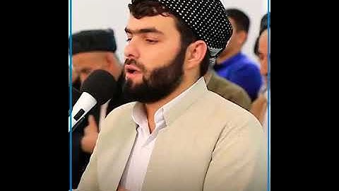 {كل من عليها فان  ويبقى وجه ربك ذو الجلال والإكرام }تلاوة خاشعة من سورة الرحمن | القارئ قادر  الكردى