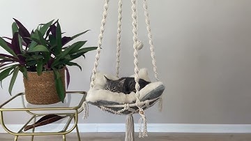 Macrame Cat Hammock & Hanging Bed | Cat Tree with Plush Cushion | Perfect Gift for Cat Lovers