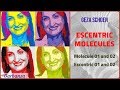 Ароматы Гезы Шона. Escentric Molecules 01, 02