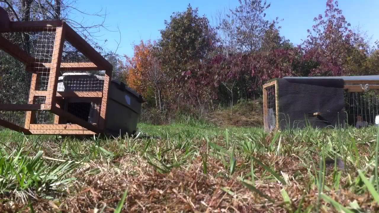 Rubbermaid portable chicken coop - YouTube