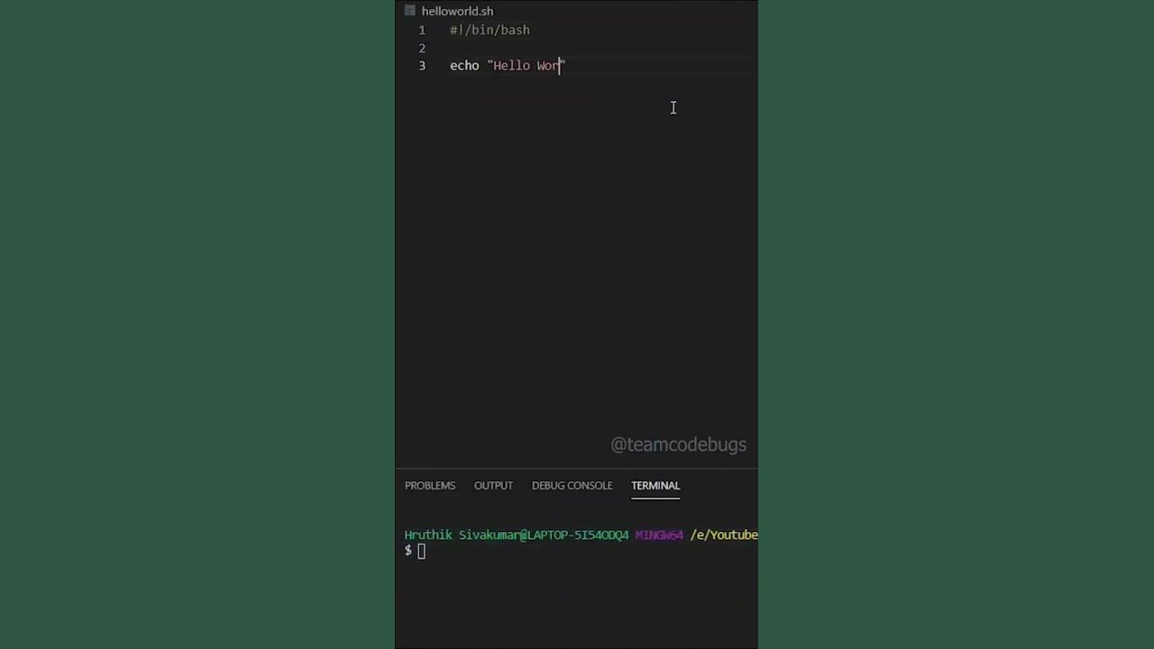 Hello world in Bash Programming Language | #coding #shorts #programming ...