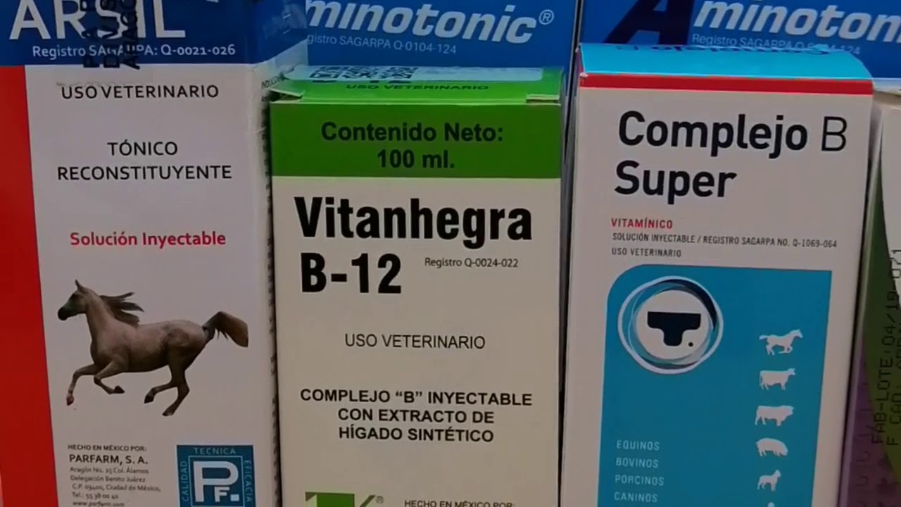 ¿Qué se le puede dar a un caballo de carreras