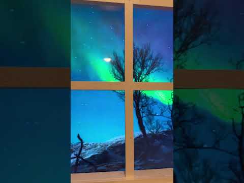 Мечты должны сбываться#норвегия #северноесияние