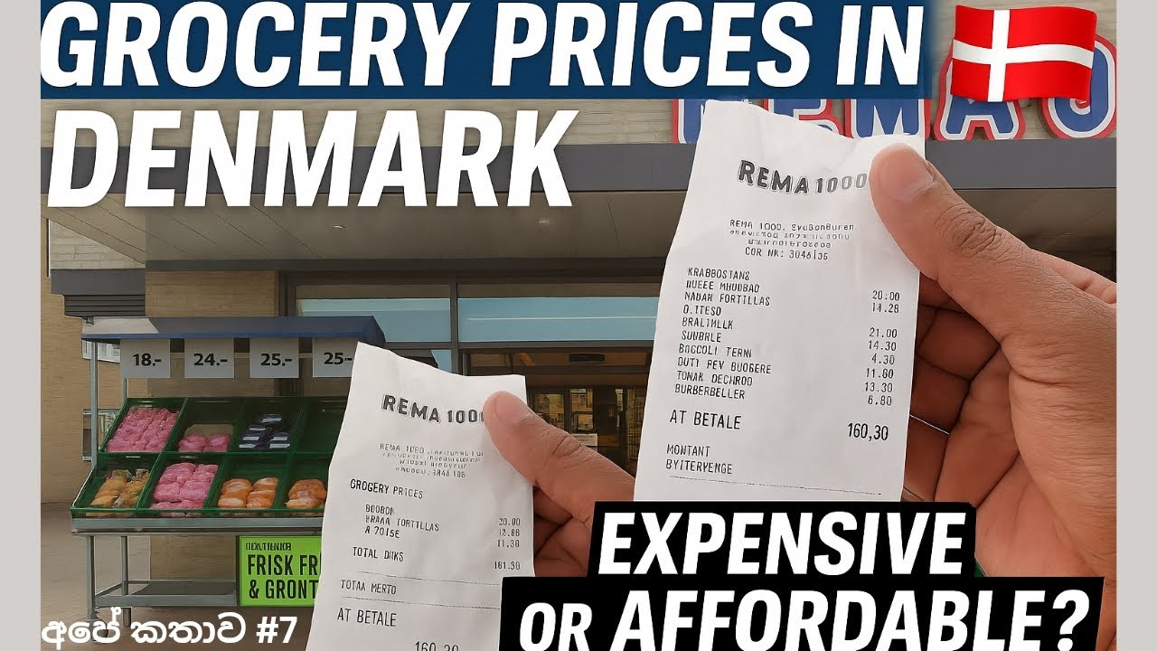 Grocery Prices in Denmark 🇩🇰 – How Much Does Food Really Cost? | අපේ  කතාව – Dreamer's Diary Ep. 7