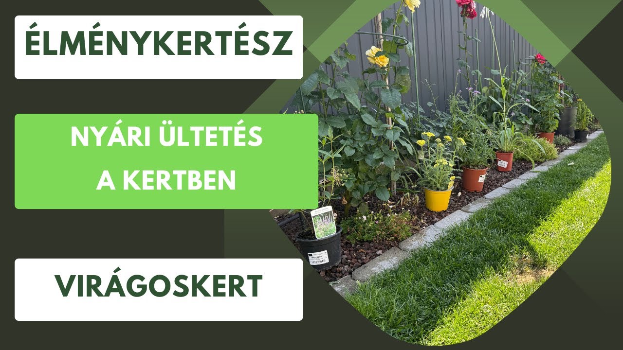 5 évelő virág, amit a méhek imádnak és neked is ültetned kell!🌺🌼🌸