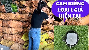Đứng tại kho báo giá 8 mẫu cạm kiềng | bẫy chồn | bẫy cáo | bẫy cạm kiềng loại 1