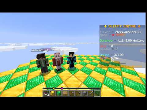 Playing Minecraft on a Public Server! (Come Join Me) by Sleepygamer
