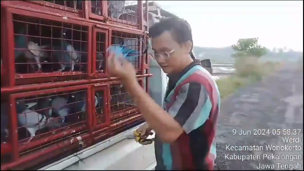 pelepasan pos 1 pekalongan