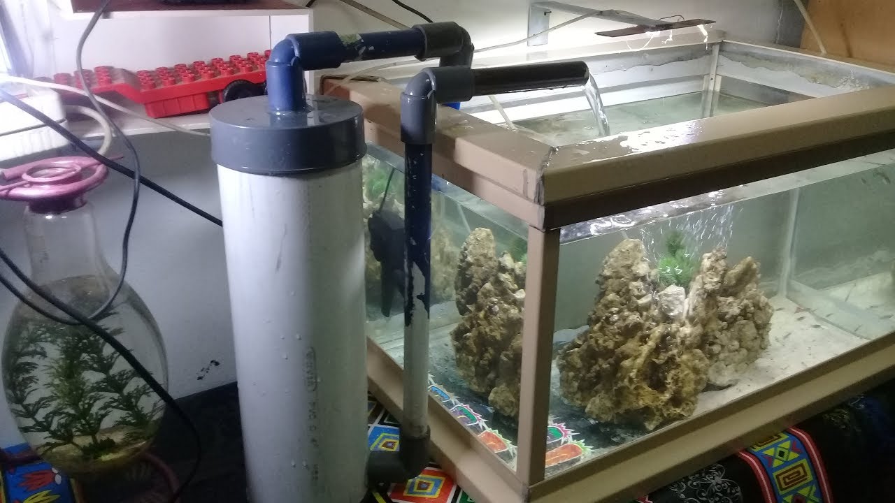 filter aquarium  dari paralon bekas how to make aquarium  