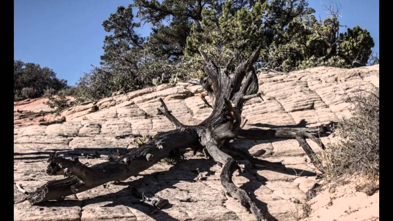 Kayenta Utah photography