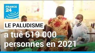 Le paludisme, un fléau qui a tué 619 000 personnes en 2021 • FRANCE 24