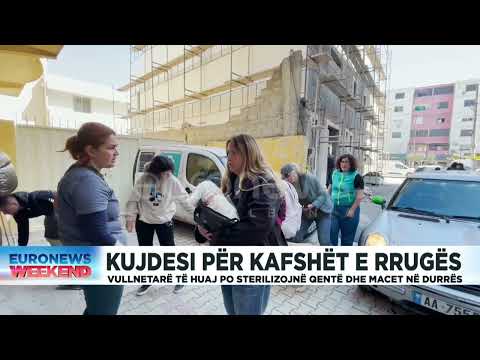 Kujdesi për kafshët e rrugës! Vullnetarë të huaj po sterilizojnë qentë dhe macet në Durrës