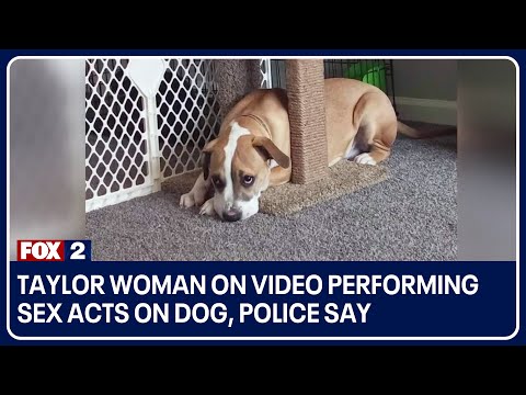 Dog Bangla X Video - Taylor woman on video performing sex acts on dog, police say - YouTube