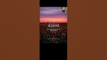 لاشقاء معI القران ولا سعادة إلا به #تلاوات #قران_كريم #تلاوة_هادئة #قرآن #تلاوةخاشعة