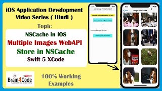 How to Store Multiple Images in NSCache From WebAPI CollectionView Swift 5 XCode | Swift in Hindi