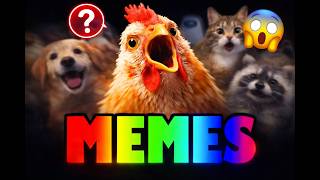 Animals memes compilation - Ep  001