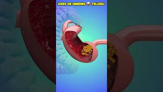 No 1️⃣testosterone food #testosterone #teluguhealthtips #healthshorts #healthtips #health #1k #juice