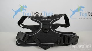 Rabitgoo No Pull Dog Harness Review