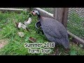 Summer Farm Tour 2018