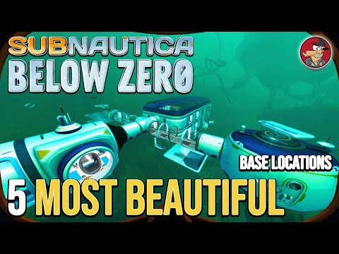 Top 5 Base