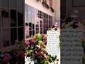 تيرا مول الطائف