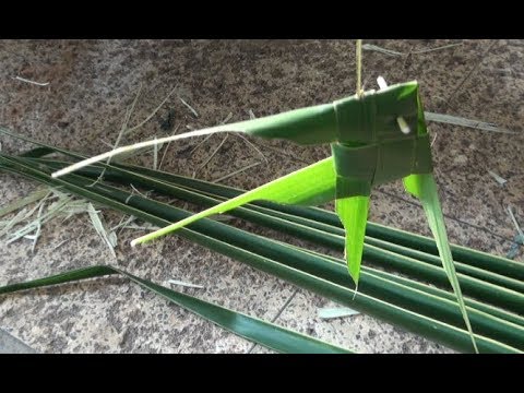 beekeeping gloves The Fish using a Coconut Leaf! By Kris Martin