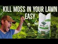 Moss Wars//The Final Battle?//How To Remove Moss From Your Lawn//