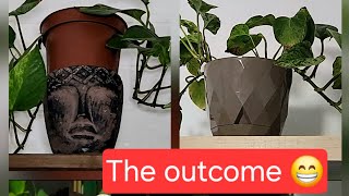 How to Propagate Pothos FAST! | Devil’s Ivy Propagation for Beginners (Step-by-Step Guide)