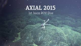 Axial 2015 Video Blog 6 - 1st Jason ROV Dive