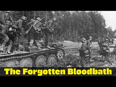 The Rzhev Meat Grinder 1942 1943 The Forgotten Bloodbath Eastern Front WW2