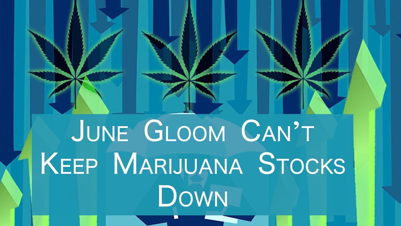 June Gloom Can’t Keep Marijuana Stocks Down