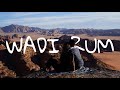 Excursion dans le dsert du wadi rum  jordanie