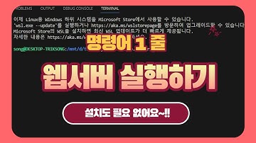 이게 가능하다고? 리눅스 환경에서 설치 없이 명령어 1줄로 웹서버 띄우기