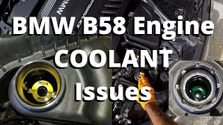 BMW B58 Engine  How to Check Coolant, and finding maintenance errors on my M140i! :(