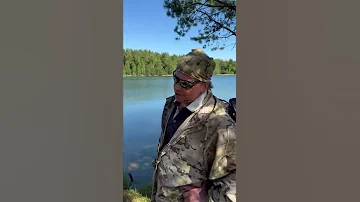 В этом лесу все ягоды можно есть?