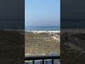 Calm morning #beach #orangebeach