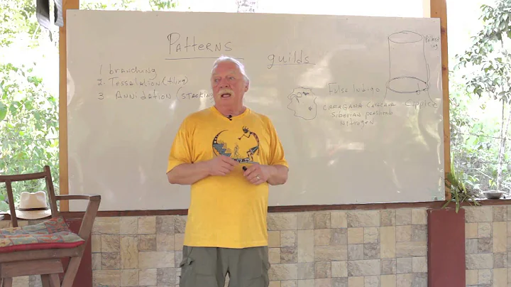 Permaculture Design Course Patterns | Scott Pittma...