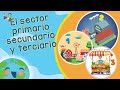 El Sector Primario Secundario y Terciario (Videos Educativos para Niños)