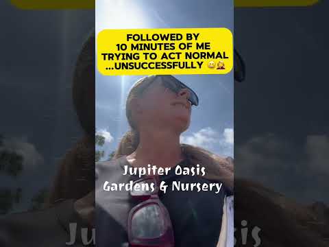 Video 2