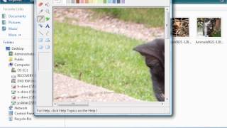 How to monitor files for changes in Repeat Signage software controls screenshot 5