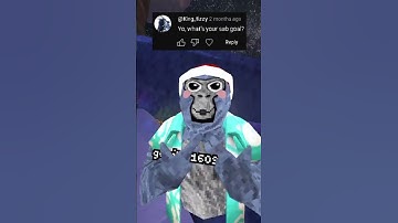 Responding To Your Comments Part 2 #gorillatag #gtag #vr