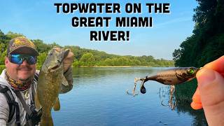 Topwater Action in the Creeks and Rivers of Southwest Ohio!