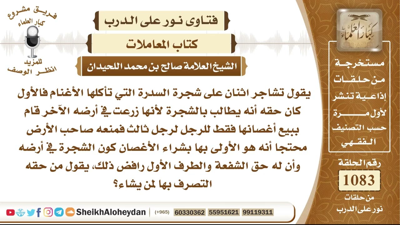 13337 -  حكم بيع أغصان الشجرة النابتة في أرض الغير، وهل لصاحب الأرض حق الشفعة أو الأولوية في شرائها؟