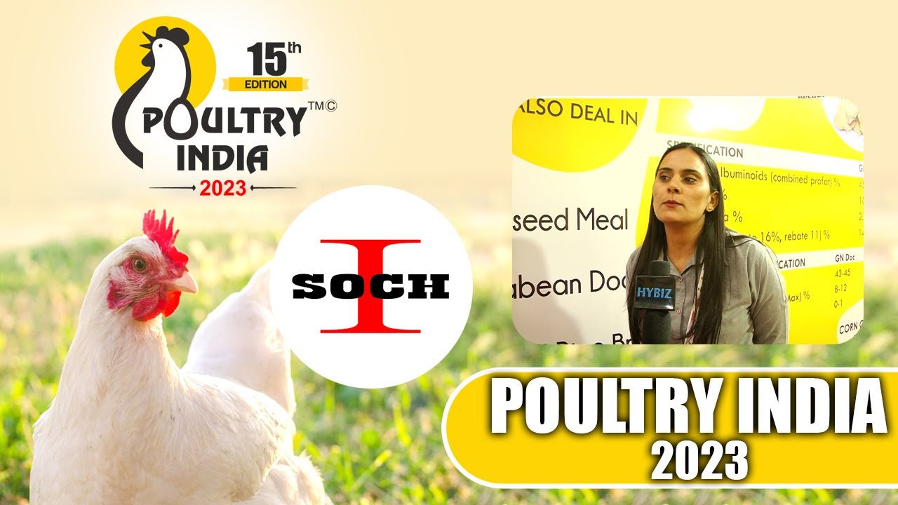 Supplier Of Animal Feed Raw Material | Innovative Soch | Poultry India 2023 | Hybiz tv