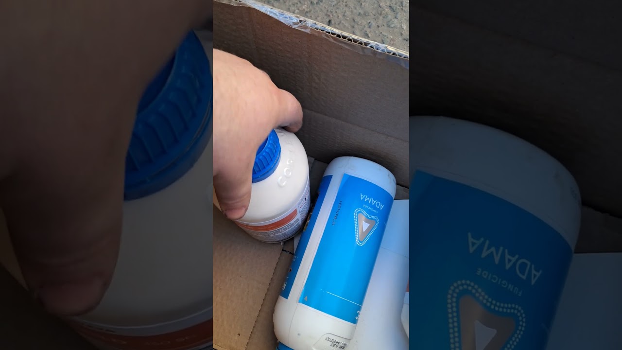 Трипс и мучка. Апхолд и Нимрод