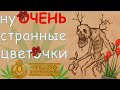 Искусство Управления МИРОМ с помощью травы | Strange Horticulture