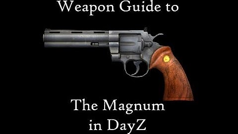 DayZ Standalone - Weapon Guide - Magnum