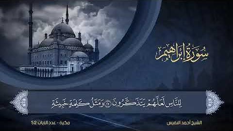 سورة  إبراهيم  مكتوبة للشيخ أحمد النفيس / المصحف المرتل كاملا