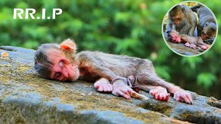 Pitiful Lovely newborn baby can't return to his mother forever