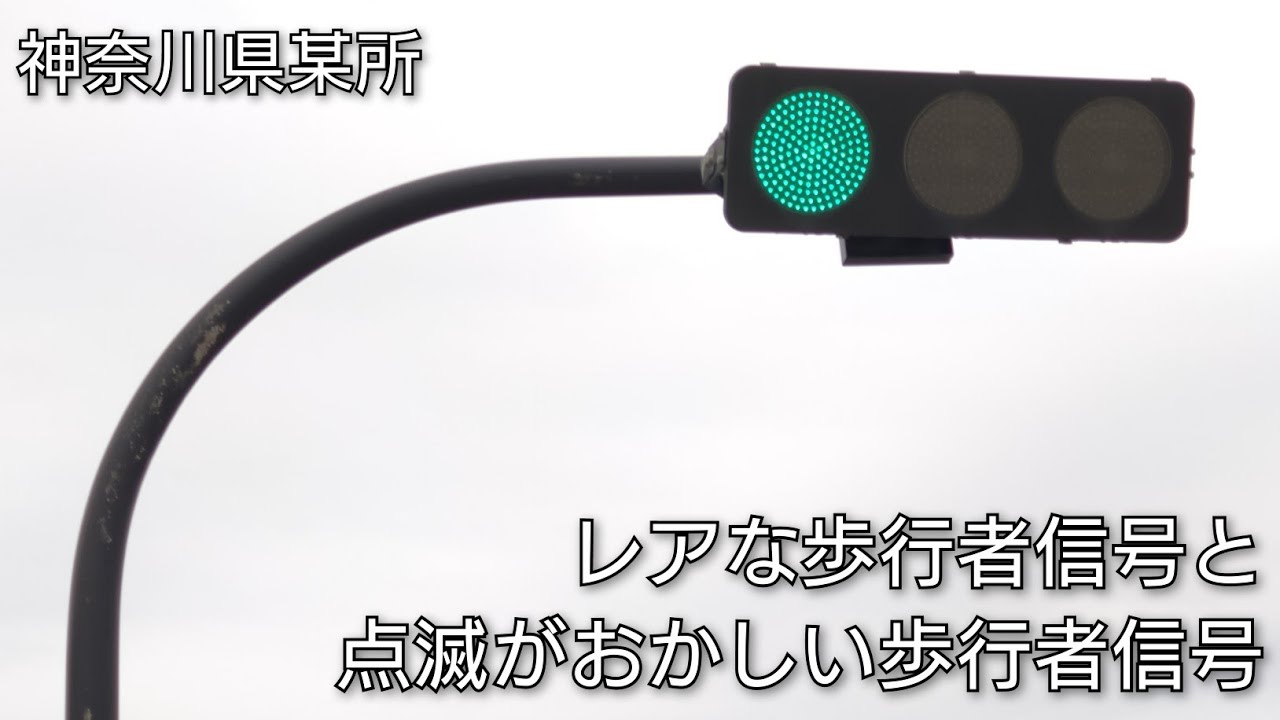 神奈川県某所】レアな歩行者信号と点滅がおかしい歩行者信号 - YouTube